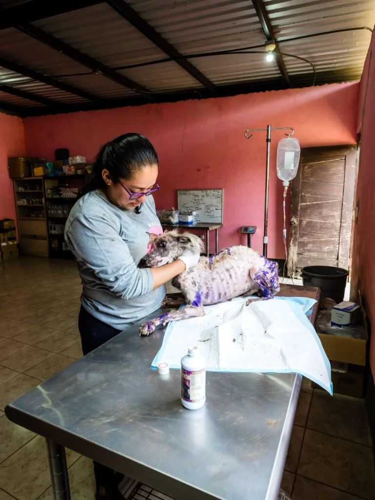 Inauguración de la nueva sala veterinaria